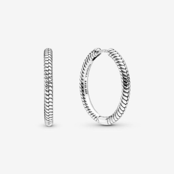 Moments Charm Hoop Earrings Pandora CA