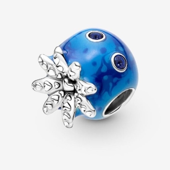 Ocean Bubbles  Waves Octopus Charms Pandora CA