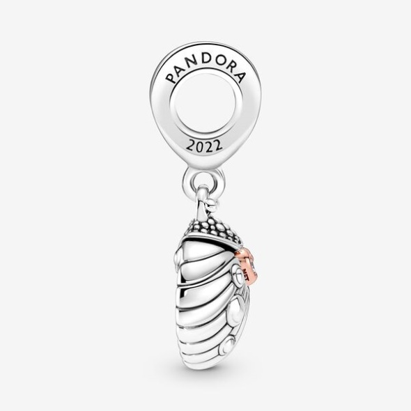 Pandora CA Club 2022 Ladybird Heart Dangle Charm