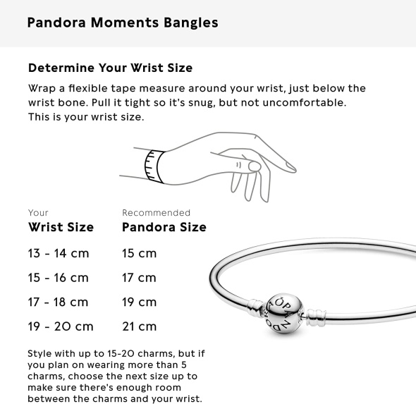 Pandora CA Jewelry Bangle Charm Sterling Silver Bracelet