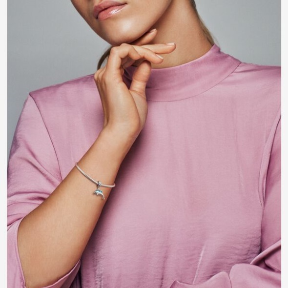 Shimmering Dolphin Dangle Charm Pandora CA