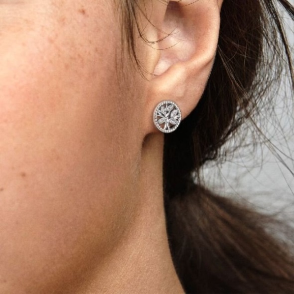 Sparkling Family Tree Stud Earrings Pandora CA