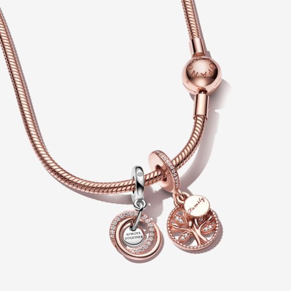 Family Circle Rose Charm Necklace Set Pandora CA